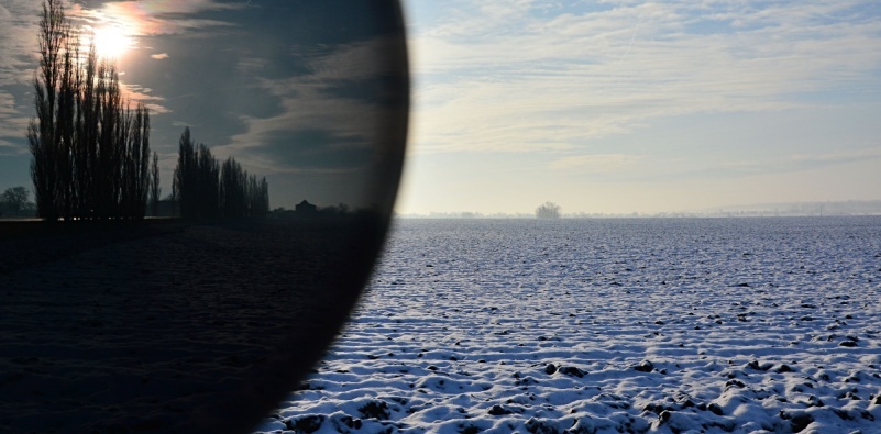 photochromic lenses 3